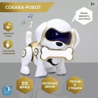 Робот-собака Чаппи, русское озвучивание, световые и звуковые эффекты, цвет золотой