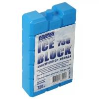 Camping World Аккумулятор холода Iceblock 750 голубой 0.75 кг 20 см 10.5 см