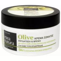 Farcom Крем для тела Mea Natura Olive Body Cream