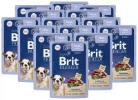 Консервированный корм BRIT PREMIUM PUPPY VEAL для щенков всех пород с телятиной в соусе (85 гр х 14 шт)