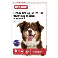 Beaphar ошейник от блох и клещей Flea & Tick для собак и кошек, 65 см, фиолетовый