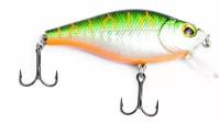 Воблер RUBICON STICK-SHAD F, 60мм, 6.5гр, заглубление 0-0.5m, B55