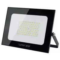 Светодиодный уличный прожектор Lumin'arte LED 100Вт 5700K Холодный белый свет, 7500 Лм черный, IP65 LFL-100W/05