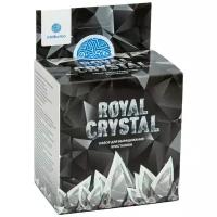 Набор для опытов Intellectico Royal Crystal