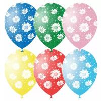 Воздушные шары, 25шт., M12/30см, ПатиБум "Ромашки", пастель+декор, растровый рисунок