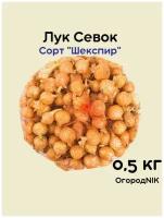 Лук Севок сорт "Шекспир" 0.5 кг