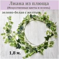 Лиана из плюща зелено-белая с желтым 1,8 м. / Зелень декоративная /Реалистичные искусственные цветы