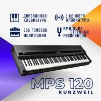 Цифровое пианино Kurzweil MPS120 черное