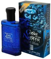 Paris Line Parfums Cosa Nostra Night Blue туалетная вода 100 мл для мужчин