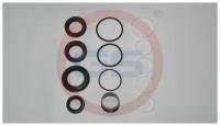 2KIT4829 Ремкомплект рулевой рейки Nissan Primera P12 / WP12 2002-