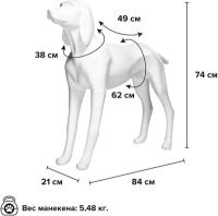 Манекен собаки AFELLOW "Курцхаар", белый, 84х21х74см