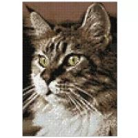Алмазная мозаика Гранни «Домашний кот» (30х20 см, полная выкладка, квадратные стразы)