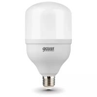 Светодиодная лампа Gauss Elementary LED T100 E27 32W 2700lm 180-240V 6500K