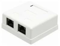 Настенная розетка LANMASTER 2 порта RJ-45 категории 5е, UTP, белая (TWT-SM2-4545-WH)