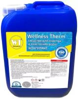 Wellness Therm Коагулянт Wellness Therm Средство для очистки и осветления воды 5л 312590