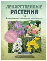 Ильина Т.А. Лекарственные растения. Большая иллюстрированная энциклопедия