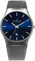 Наручные часы SKAGEN Наручные часы Skagen 956XLTTN, серебряный