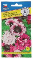 Семена цветов Петуния превосходнейшая "Черный Триумф", О, драже 10 шт