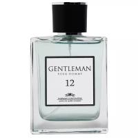 Мужская туалетная вода Parfums Constantine Private Collection Gentleman 12 100 мл