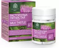 Расторопша пятнистая экстракт ВИС (Milk Thistle Standardized EXTRACT VIS) капс 0,4г №30