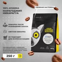 Свежеобжаренный кофе в зернах Марагоджип Никарагуа Lemur Coffee Roasters, 250 г