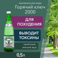 Вода минеральная Горячий Ключ 2000 газированная