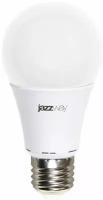 Лампа светодиодная PLED-ECO 7Вт A60 грушевидная 5000К холод. бел. E27 570лм 230В JazzWay 1033192 (1 шт)