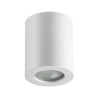 Накладной светильник Odeon Light Aquana 3571/1C, GU10, 50Вт, кол-во ламп:1шт., Белый