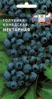 Семена Голубика канадская Нектарная 0,05 г (СеДек)