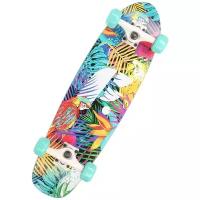 Круизер Footwork TROPICAL Размер 7.75" x 27.25" скейтборд в сборе