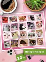 Наклейки Котики и сердечки мемные Стикеры