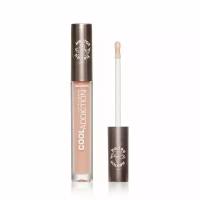 Плампер для губ Relouis Cool Addiction Lip Plumper 01