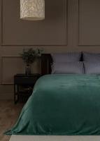 Плед TexRepublic Absolute 180х200 см, 2 спальный, велсофт, покрывало на диван, теплый, мягкий, зеленый, однотонный