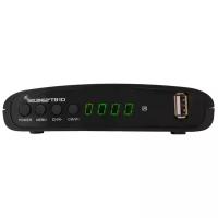 ТВ-тюнер Selenga T81D (2xUSB, Ant in, Ant out, HDMI, AV out jack) черный