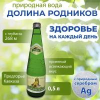 Вода Долина Родников с серебром. Объем 0.5л*12. в стекле. Ручеек, негазированная, Вода минеральная питьевая природная лечебная, выводит токсины