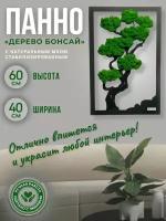 Декоративное панно из стабилизированного мха "Дерево бонсай", ручная работа, 60 см