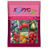 Препарат для защиты растений Ваше Хозяйство Хорус, от болезней, 2 г
