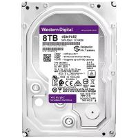 Жесткий диск Western Digital WD Purple 8 TB (WD81PURZ)