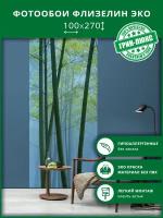 Фотообои на стену "Бамбуковый лес 100х270", обои флизелиновые гладкие в комнату, спальню, кухню, коридор, детскую, 3d, природа, дерево, лес