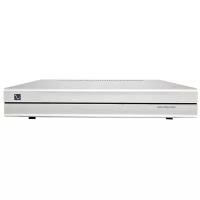 Усилитель мощности моно PS Audio Stellar M700 Mono Amplifier, Silver