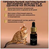 Пищевая добавка для животных iPet CBD PET OIL Puppy kitty конопляное масло