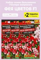 Семена Бальзамин "Фея цветов F1", 3 упаковки + 2 подарка