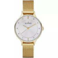 Skagen Mesh SKW2150