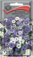 Брахикома иберисолистная Смесь окрасок однол. 0,03гр. (Поиск)