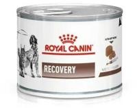 Влажный корм для собак и кошек Royal Canin Recovery в период анорексии, выздоровления 12 шт. х 195 г