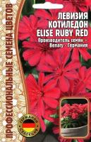 Левизия Котиледон ELISE RUBY RED, многолетник ( 1 уп: 3 семени )