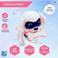 Робот игрушка IQ BOT собака Чаппи с русским озвучиванием, световыми и звуковыми эффектами, цвет розовый