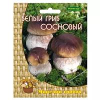 Белый гриб сосновый (мицелий на компосте), шт