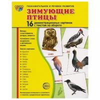 Демонстрационные картинки. Супер. Зимующие птицы. 16 демонстрационных картинок с текстом. Вне серии