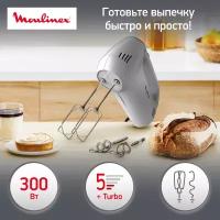 Миксер Moulinex HM310E10 серебристый (8010001084)